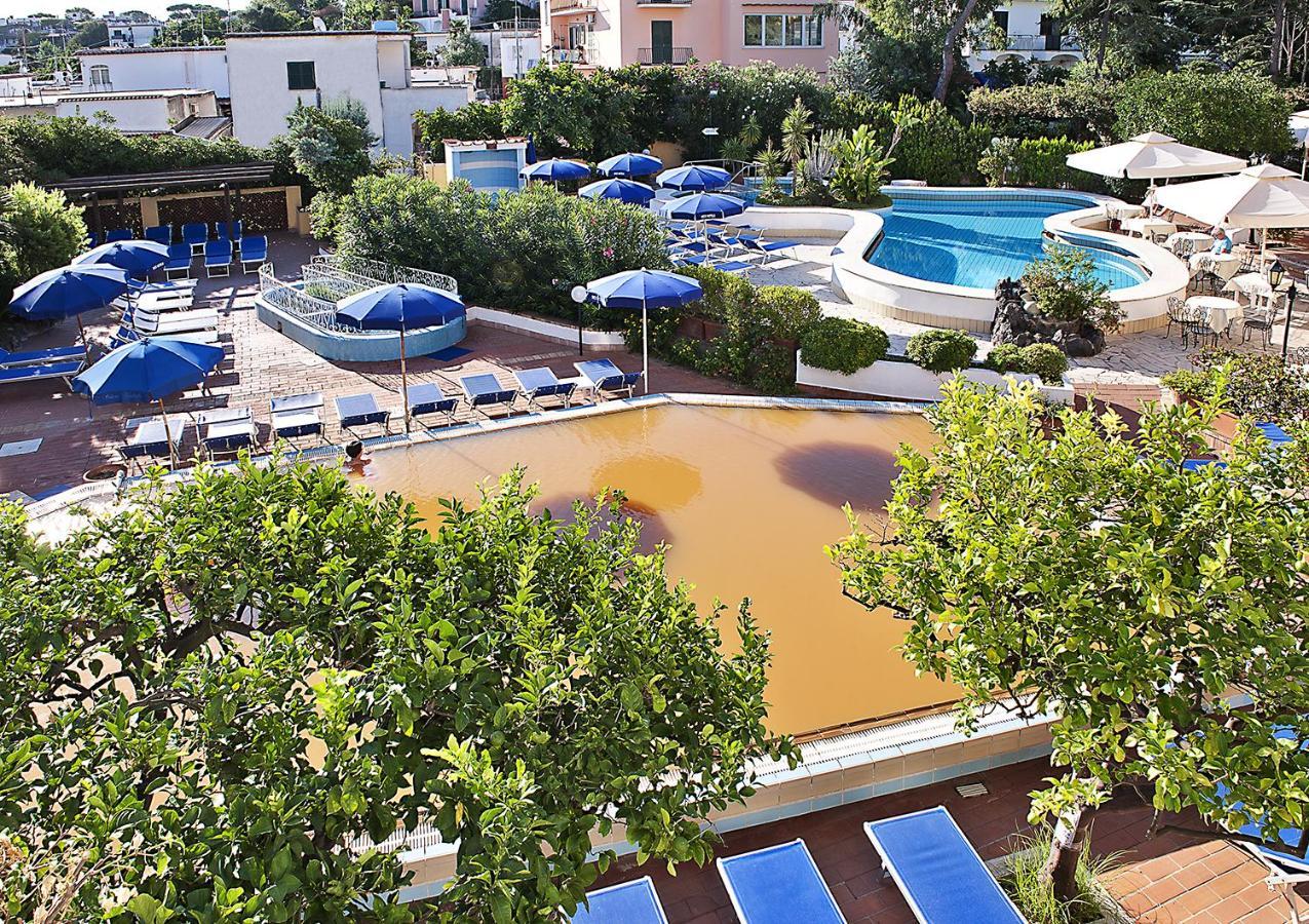 Triple Room Pool View